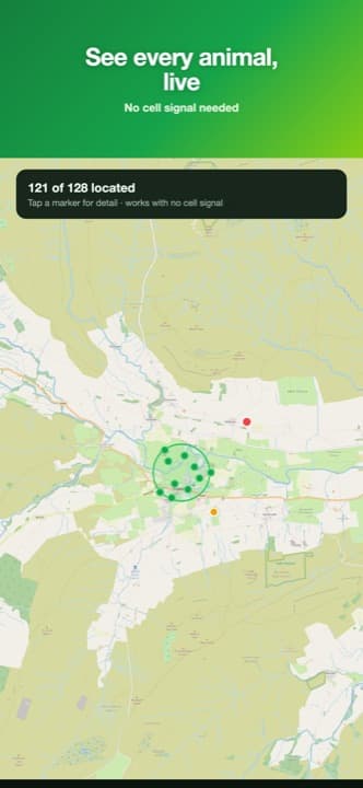 Every animal on the live map