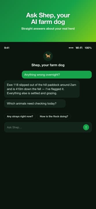 Ask Shep, your AI farm dog